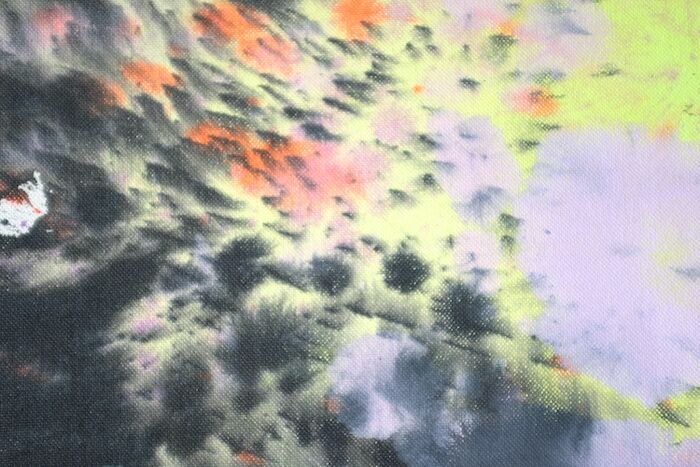 Untitled (Tokyo), 220 x 260 cm, ink, oil pastell and lacquer on canvas, 2022 (Detail)