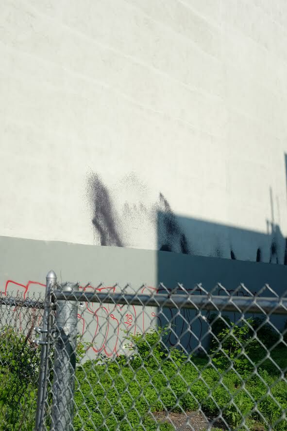 Fence IV, NYC, 2018